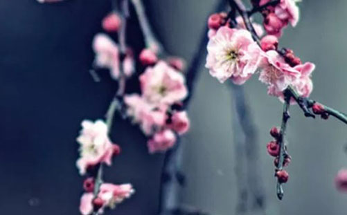 1614220260164317.jpg 牛年起名带火可以吗,喜火字最<a href=https://www.hmzw.com/html/jili.html target=_blank class=infotextkey>吉利</a>的字