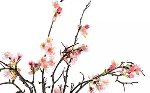 1614306693213536.jpg 带怜字的女孩<a href=https://www.hmzw.com/html/mingzi.html target=_blank class=infotextkey>名字</a><a href=https://www.hmzw.com/html/yuyi.html target=_blank class=infotextkey>寓意</a> 怜字取名