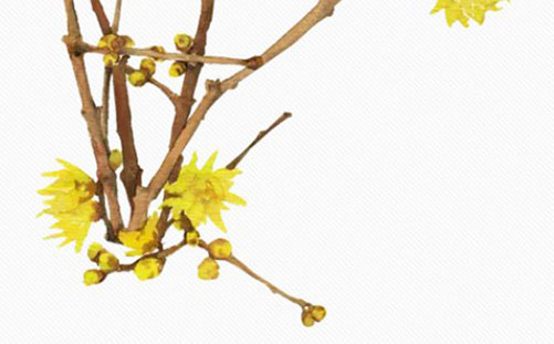 1614306701204212.jpg 带怜字的女孩<a href=https://www.hmzw.com/html/mingzi.html target=_blank class=infotextkey>名字</a><a href=https://www.hmzw.com/html/yuyi.html target=_blank class=infotextkey>寓意</a> 怜字取名