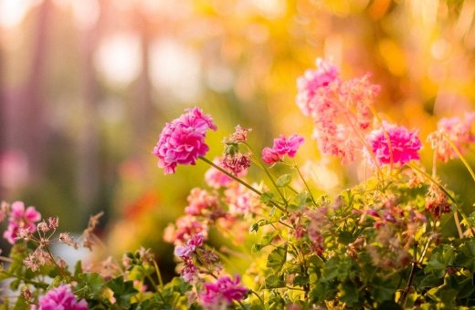 1614740166331827.jpg 2021牛年<a href=https://www.hmzw.com/html/baobao.html target=_blank class=infotextkey>宝宝</a>如何起<a href=https://www.hmzw.com/html/mingzi.html target=_blank class=infotextkey>名字</a>,高分<a href=https://www.hmzw.com/html/mingzi.html target=_blank class=infotextkey>名字</a>参考