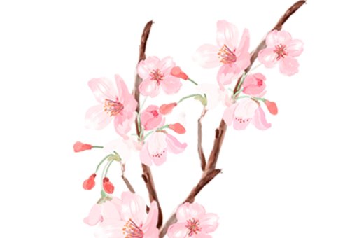 1615945202571691.jpg 为什么牛<a href=https://www.hmzw.com/html/baobao.html target=_blank class=infotextkey>宝宝</a>起名要草字头,草字头<a href=https://www.hmzw.com/html/mingzi.html target=_blank class=infotextkey>名字</a>介绍