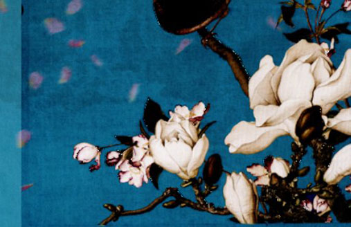 1616988795966517.jpg 农历三月牛为什么不好 农历三月牛为什么不好说法