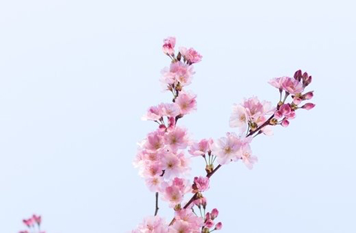 1617675873659920.jpg 新公司起名技巧:有<a href=https://www.hmzw.com/html/neihan.html target=_blank class=infotextkey>内涵</a>的公司名称