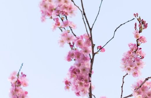 1617675883464883.jpg 新公司起名技巧:有<a href=https://www.hmzw.com/html/neihan.html target=_blank class=infotextkey>内涵</a>的公司名称