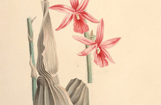 1617928917930067.jpg 公司起名:好听大气新公司<a href=https://www.hmzw.com/html/mingzi.html target=_blank class=infotextkey>名字</a>