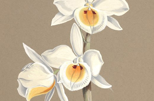 1617928954825182.jpg 公司起名:好听大气新公司<a href=https://www.hmzw.com/html/mingzi.html target=_blank class=infotextkey>名字</a>