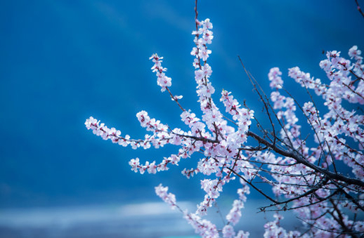 1619315652993114.jpg 牛年于姓女孩如何起名 100分于姓女<a href=https://www.hmzw.com/html/baobao.html target=_blank class=infotextkey>宝宝</a><a href=https://www.hmzw.com/html/mingzi.html target=_blank class=infotextkey>名字</a>