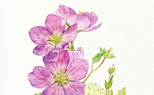 1621211777901025.jpg 建材公司如何取名 2021年建材公司取名<a href=https://www.hmzw.com/html/tuijian.html target=_blank class=infotextkey>推荐</a>