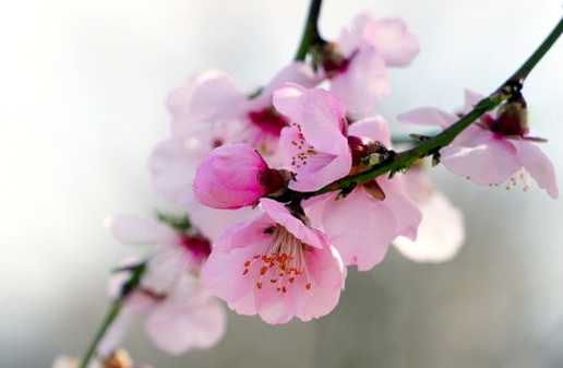 1621991320973356.jpg 医疗科技公司起名大全,公司起名热门字