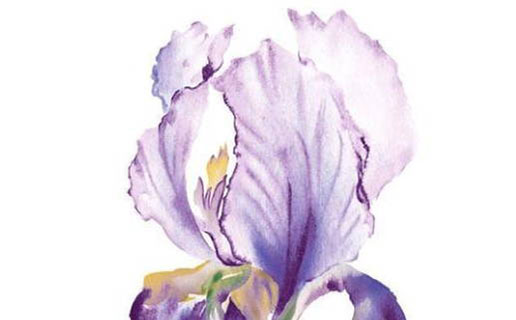 1622508688979317.jpg 注册网络公司起什么<a href=https://www.hmzw.com/html/mingzi.html target=_blank class=infotextkey>名字</a> 网络科技公司取名办法