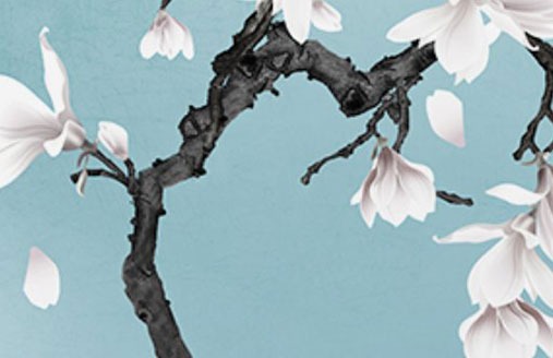 店名取几个字比较<a href=https://www.hmzw.com/html/jili.html target=_blank class=infotextkey>吉利</a> 招财的店铺名称