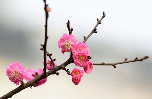 广告传媒公司<a href=https://www.hmzw.com/html/mingzi.html target=_blank class=infotextkey>名字</a>集锦,四字新公司名称大全