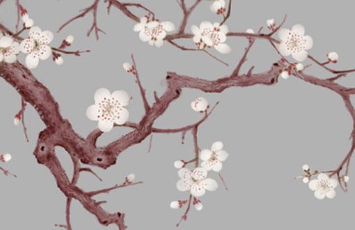 店铺取名大全<a href=https://www.hmzw.com/html/mianfei.html target=_blank class=infotextkey>免费</a>2021年 店铺起名技巧解析