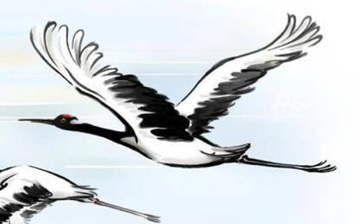 有创意装饰公司名称 相关行业起名佳字分享