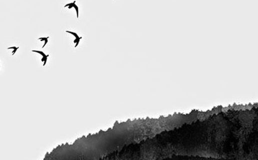 培训中心起名<a href=https://www.hmzw.com/html/yangqi.html target=_blank class=infotextkey>洋气</a><a href=https://www.hmzw.com/html/yuyi.html target=_blank class=infotextkey>寓意</a>好的 机构<a href=https://www.hmzw.com/html/mingzi.html target=_blank class=infotextkey>名字</a>高尚典雅