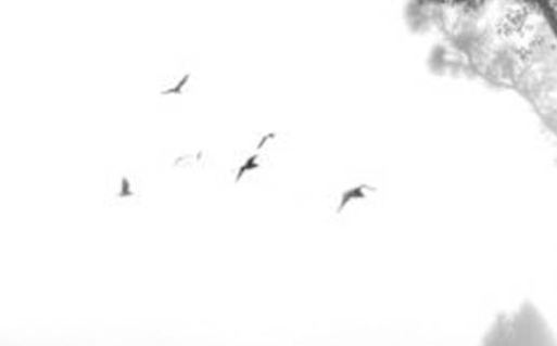 建筑工程有限公司起名大全 贵气高级的企业起名方式