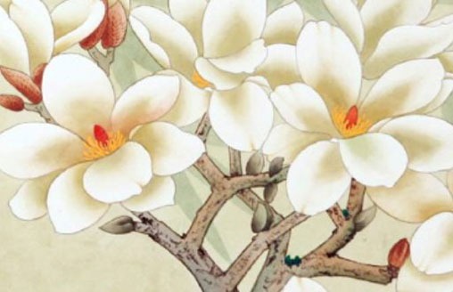 拼多多店铺名称怎么取名 有<a href=https://www.hmzw.com/html/neihan.html target=_blank class=infotextkey>内涵</a>店铺好名