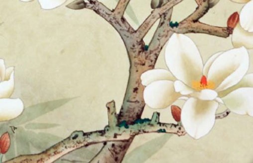 拼多多店铺名称怎么取名 有<a href=https://www.hmzw.com/html/neihan.html target=_blank class=infotextkey>内涵</a>店铺好名