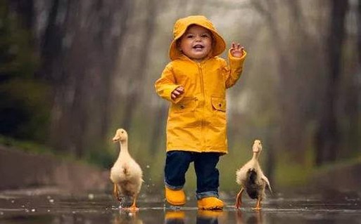 2021年男<a href=https://www.hmzw.com/html/baobao.html target=_blank class=infotextkey>宝宝</a>取名大全 牛年男孩取名宜用字