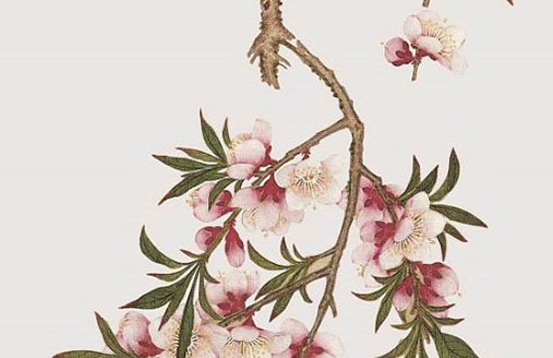 公司取<a href=https://www.hmzw.com/html/mingzi.html target=_blank class=infotextkey>名字</a>大全三个字热门 企业起名<a href=https://www.hmzw.com/html/shunkou.html target=_blank class=infotextkey>顺口</a>大气