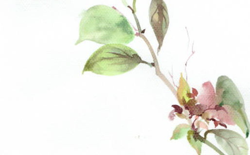 美容店应该取什么<a href=https://www.hmzw.com/html/mingzi.html target=_blank class=infotextkey>名字</a>更好 起名好听用字