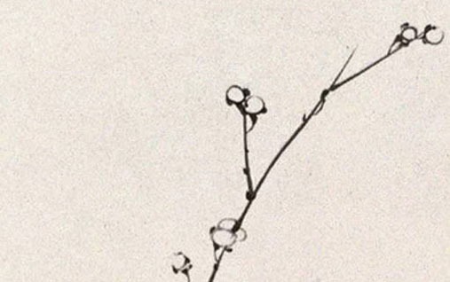 <a href=https://www.hmzw.com/html/shihe.html target=_blank class=infotextkey>适合</a>餐饮公司的<a href=https://www.hmzw.com/html/mingzi.html target=_blank class=infotextkey>名字</a> 最新版企业取名大全