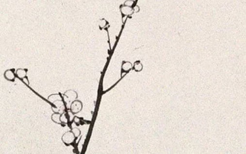 <a href=https://www.hmzw.com/html/shihe.html target=_blank class=infotextkey>适合</a>餐饮公司的<a href=https://www.hmzw.com/html/mingzi.html target=_blank class=infotextkey>名字</a> 最新版企业取名大全