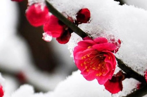 注册挖机公司怎么取名 新公司有品牌的大气名称