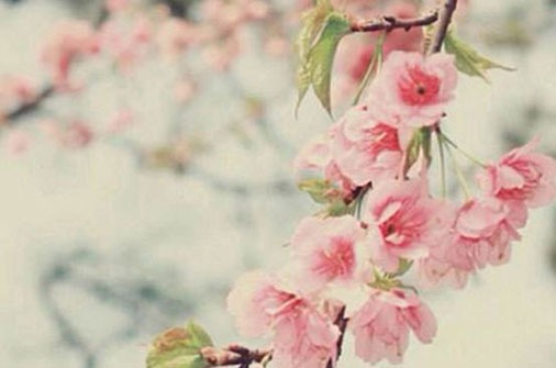 做机械叫什么<a href=https://www.hmzw.com/html/mingzi.html target=_blank class=infotextkey>名字</a>最好 高大上的企业取名