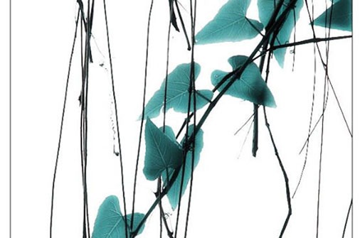 工程机械租赁公司名称 发财大气的企业取名