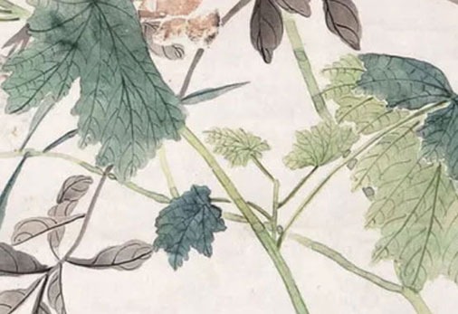 最具有吸引的商场<a href=https://www.hmzw.com/html/mingzi.html target=_blank class=infotextkey>名字</a> 取<a href=https://www.hmzw.com/html/yuyi.html target=_blank class=infotextkey>寓意</a>大吉的店铺<a href=https://www.hmzw.com/html/mingzi.html target=_blank class=infotextkey>名字</a>