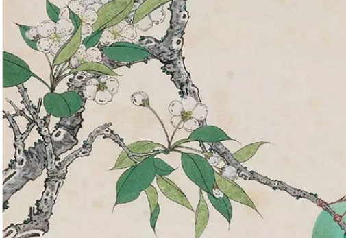 开网店的店铺名称大全 新店取<a href=https://www.hmzw.com/html/yangqi.html target=_blank class=infotextkey>洋气</a>有创意<a href=https://www.hmzw.com/html/mingzi.html target=_blank class=infotextkey>名字</a>