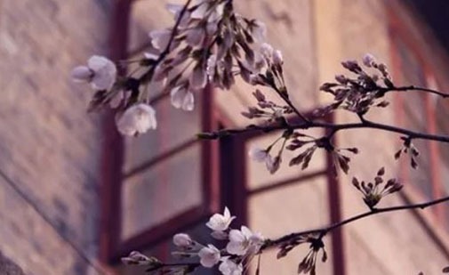 有创意的网店<a href=https://www.hmzw.com/html/mingzi.html target=_blank class=infotextkey>名字</a>百货网店<a href=https://www.hmzw.com/html/mingzi.html target=_blank class=infotextkey>名字</a> 店铺<a href=https://www.hmzw.com/html/tese.html target=_blank class=infotextkey>特色</a>取名<a href=https://www.hmzw.com/html/tuijian.html target=_blank class=infotextkey>推荐</a>