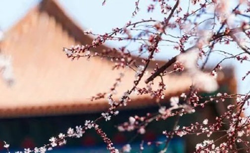 公司起名的注意事项 最新版<a href=https://www.hmzw.com/html/jili.html target=_blank class=infotextkey>吉利</a>企业取名大全