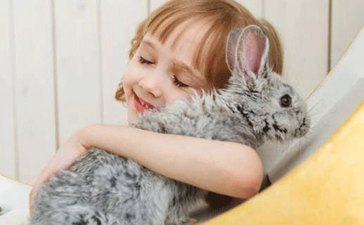 姓张的女孩取个什么<a href=https://www.hmzw.com/html/mingzi.html target=_blank class=infotextkey>名字</a>好呢 清爽张姓女<a href=https://www.hmzw.com/html/baobao.html target=_blank class=infotextkey>宝宝</a><a href=https://www.hmzw.com/html/mingzi.html target=_blank class=infotextkey>名字</a>合集