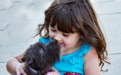 易经测名 2023年5月18日三月二十九出生的属兔女孩<a href=https://www.hmzw.com/html/bazi.html target=_blank class=infotextkey>八字</a>起名