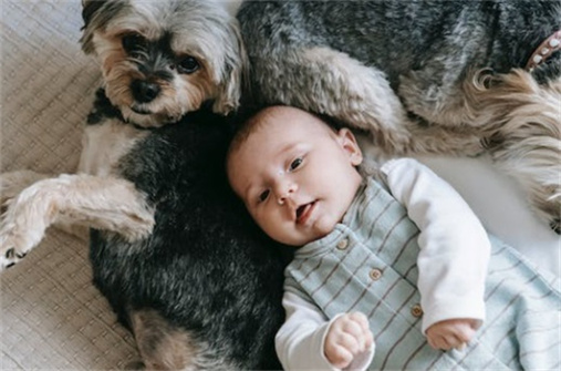 戴姓女孩的<a href=https://www.hmzw.com/html/mingzi.html target=_blank class=infotextkey>名字</a>属兔2023 有令人难忘的含义和意 戴姓女孩的<a href=https://www.hmzw.com/html/mingzi.html target=_blank class=infotextkey>名字</a>属兔2023 有令人难忘的含义和意