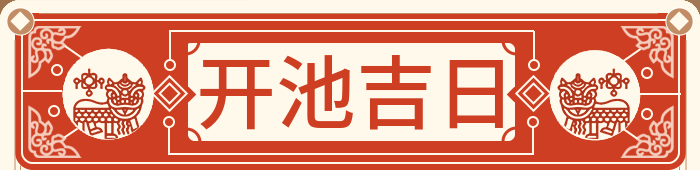 挖池塘吉日