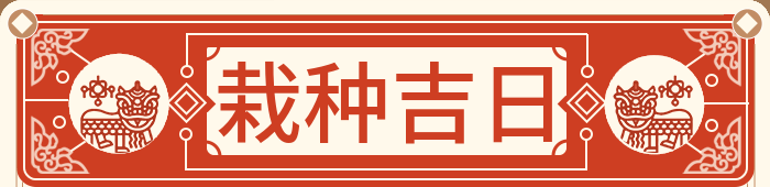 栽种吉日