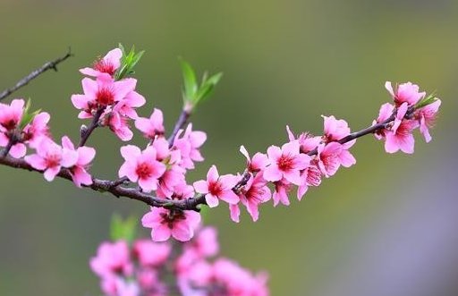 2021年正月十三出生的女<a href=https://m.hmzw.com/html/baobao.html target=_blank class=infotextkey>宝宝</a>起名大全,女<a href=https://m.hmzw.com/html/baobao.html target=_blank class=infotextkey>宝宝</a>好名<a href=https://m.hmzw.com/html/tuijian.html target=_blank class=infotextkey>推荐</a>