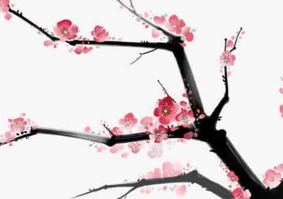 2020年5月10号母亲节出生男孩起什么<a href=https://m.hmzw.com/html/mingzi.html target=_blank class=infotextkey>名字</a>好