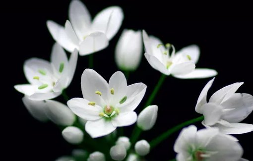 2020年农历十一月出生的鼠<a href=https://www.hmzw.com/html/baobao.html target=_blank class=infotextkey>宝宝</a>取名技巧