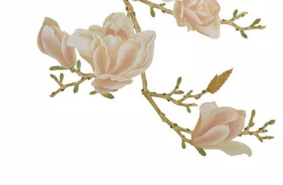 2020年3月21日二月二十八生的男孩命运好吗，取什么<a href=https://www.hmzw.com/html/mingzi.html target=_blank class=infotextkey>名字</a>好