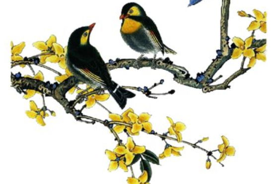鼠<a href=https://m.hmzw.com/html/baobao.html target=_blank class=infotextkey>宝宝</a>双胞胎取名大全2020款，三种取名方法<a href=https://m.hmzw.com/html/tuijian.html target=_blank class=infotextkey>推荐</a>