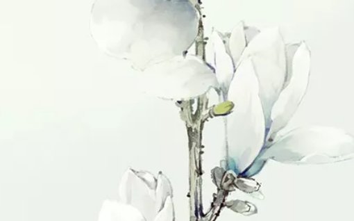 2020年6月19号闰四月二十八出生的女孩命好吗,如何取<a href=https://www.hmzw.com/html/mingzi.html target=_blank class=infotextkey>名字</a>