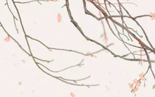 2020年12月25号出生的男孩怎么起<a href=https://www.hmzw.com/html/mingzi.html target=_blank class=infotextkey>名字</a>，<a href=https://www.hmzw.com/html/wuxing.html target=_blank class=infotextkey>五行</a>属什么