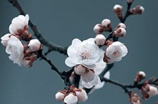 2020年农历二月出生的男<a href=https://www.hmzw.com/html/haizi.html target=_blank class=infotextkey>孩子</a>怎么取名