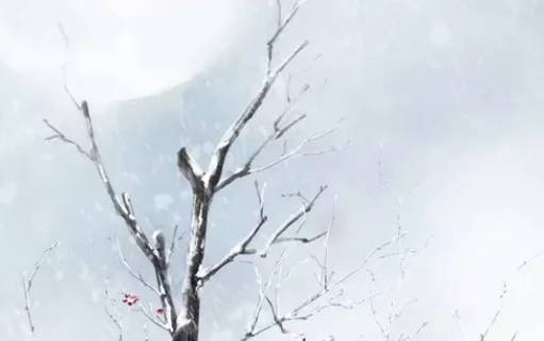 2020年8月26号七月初八生的男<a href=https://m.hmzw.com/html/baobao.html target=_blank class=infotextkey>宝宝</a>命运好吗,如何<a href=https://m.hmzw.com/html/bazi.html target=_blank class=infotextkey>八字</a>起名