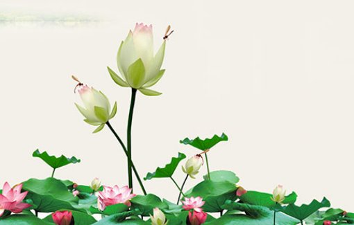 2021年1月12日出生的<a href=https://m.hmzw.com/html/baobao.html target=_blank class=infotextkey>宝宝</a>命好不好,十一月二十九的<a href=https://m.hmzw.com/html/haizi.html target=_blank class=infotextkey>孩子</a><a href=https://m.hmzw.com/html/bazi.html target=_blank class=infotextkey>八字</a>起<a href=https://m.hmzw.com/html/mingzi.html target=_blank class=infotextkey>名字</a>
