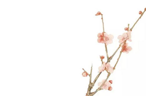 带爽字的女孩<a href=https://www.hmzw.com/html/mingzi.html target=_blank class=infotextkey>名字</a>唯美 爽字取名女孩
